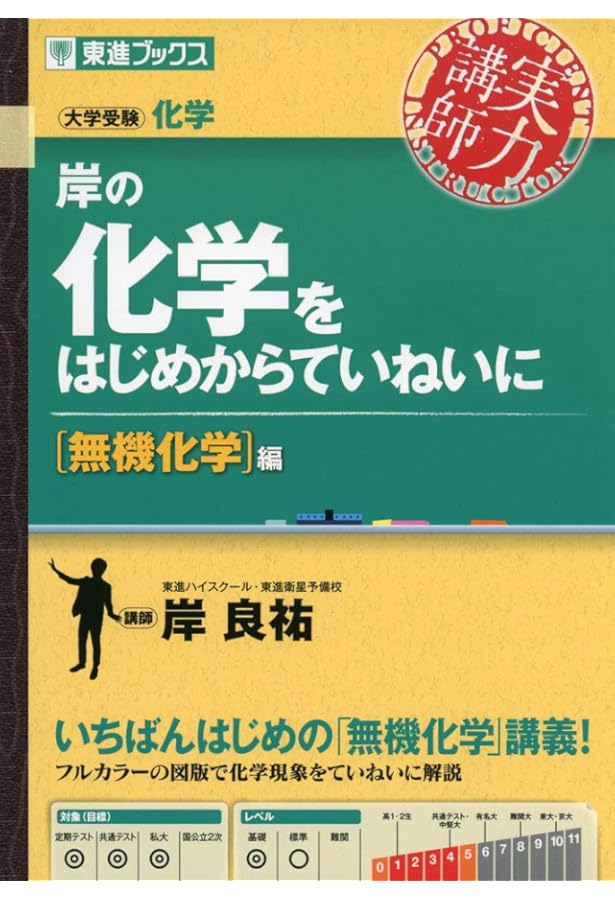 岸の化学をはじめからていねいに【理論化学編】 (東進ブックス 大学
